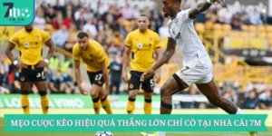 Mẹo Cược Kèo Hiệu Quả Thắng Lớn Chỉ Có Tại Nhà Cái 7m 6 Mẹo Cược Kèo Hiệu Quả Thắng Lớn Chỉ Có Tại Nhà Cái 7m